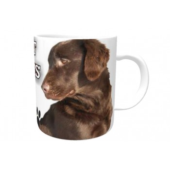 Flat Coated Retriever (Brown)  DOG Ceramic Mug 10fl oz   109