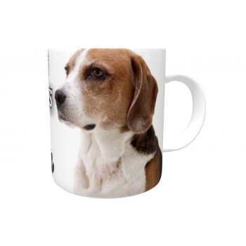 American Foxhound  DOG Ceramic Mug 10fl oz   11