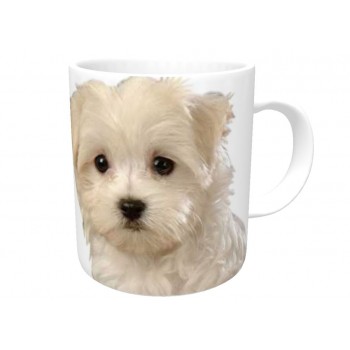 Maltese Terrier DOG Ceramic Mug 10fl oz   167