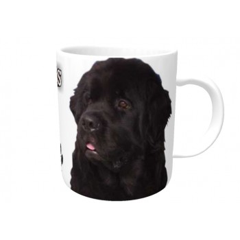 Newfoundland (Black) DOG Ceramic Mug 10fl oz   175