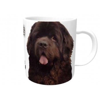 Newfoundland (Brown)  DOG Ceramic Mug 10fl oz   176