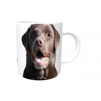 Norweigan Fishing Dog DOG Ceramic Mug 10fl oz   178