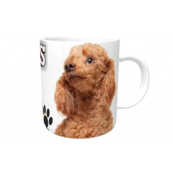 Poodle (Toy Apricot) DOG Ceramic Mug 10fl oz   191