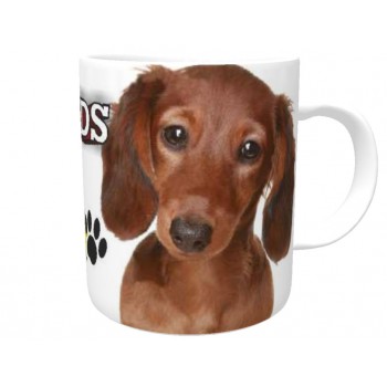 Dachshund (Brown LH)  DOG Ceramic Mug 10fl oz   86