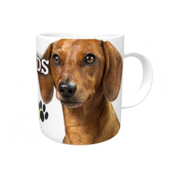 Dachshund (Brown SH))  DOG Ceramic Mug 10fl oz   87