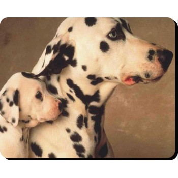 English Mastiff Dog Mousemat   100