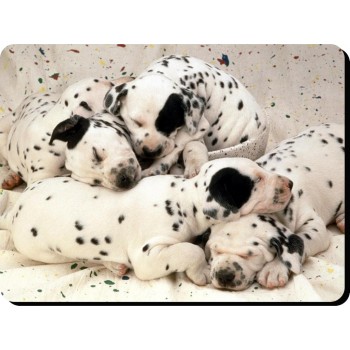 English Pointer Dog Mousemat   101