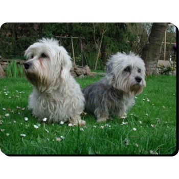 English Setter (black/white)  Dog Mousemat    102