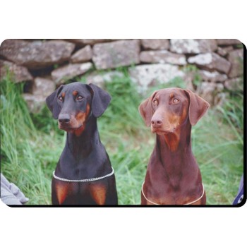 English Toy Spaniel (BK & TAN) Dog Mousemat   104
