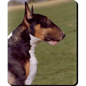 Flat Coated Retriever (Black) Dog Mousemat   108