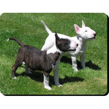 Flat Coated Retriever (Brown)  Dog Mousemat   109