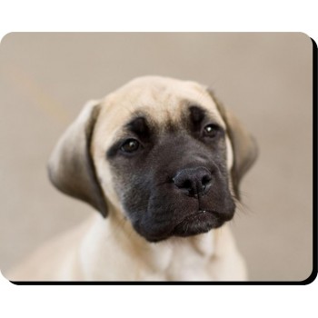 French Bulldog (Black) Dog Mousemat   112