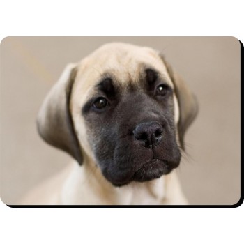 German Short Haired Pointer  Dog Mousemat   115