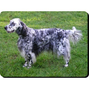 German wire haired pointer Dog Mousemat   116