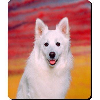 American Pitbull (tilted head) Dog Mousemat  Dishwasher  proof 12