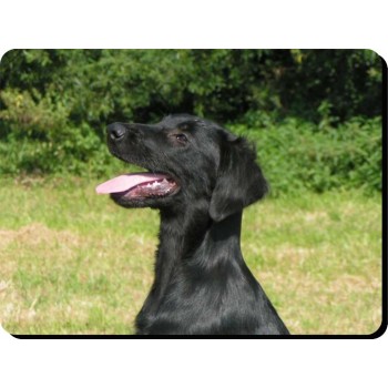 Great Dane (BK & WT)  Dog Mousemat   120