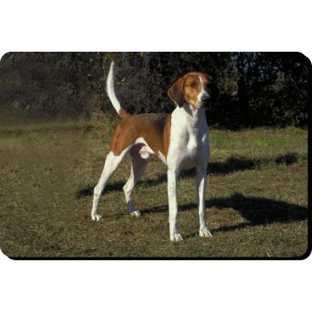 Great Dane (Black) Dog Mousemat   121
