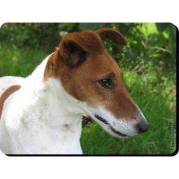 Great Dane (Blue) Dog Mousemat   122