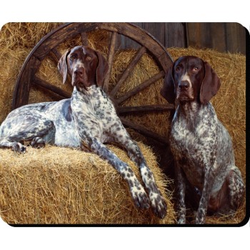 Greyhound (Brown) Dog Mousemat   127