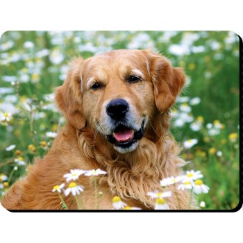 German Shepherd (Black) Dog Mousemat   129
