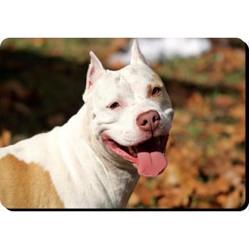 American Pitbull (pointed ears)  Dog Mousemat  Dishwasher  proof 13
