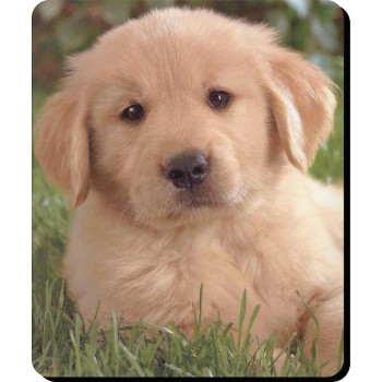 German Shepherd (White) Dog Mousemat   130