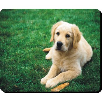 Havanese (Groomed) Dog Mousemat   131