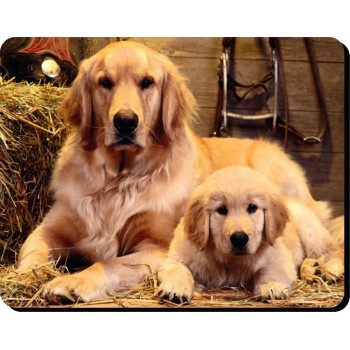 Havanese ( Scruffy) Dog Mousemat   132