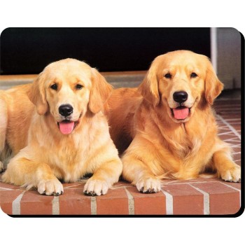 Hungarian Vizsla Dog Mousemat   133