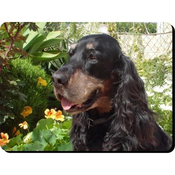 Husky (Grey) Dog Mousemat   135