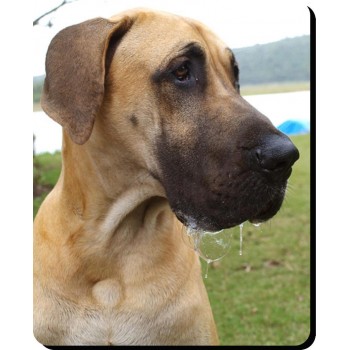 Husky (Red Puppy) Dog Mousemat   136