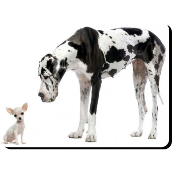 Ibiza Hound  Dog Mousemat   137