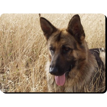 Italian Greyhound Dog Mousemat   143