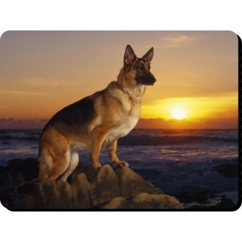 Jack Russell (WT & BR) Dog Mousemat   145