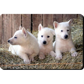Jack Russell (Wire Hair) Dog Mousemat   148