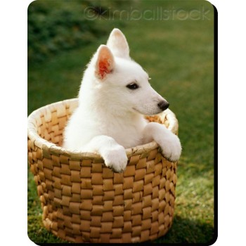 Jack Russell (Wire Hair) Dog Mousemat   149