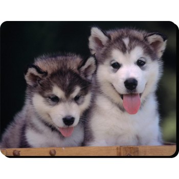 Keeshond  Dog Mousemat   154