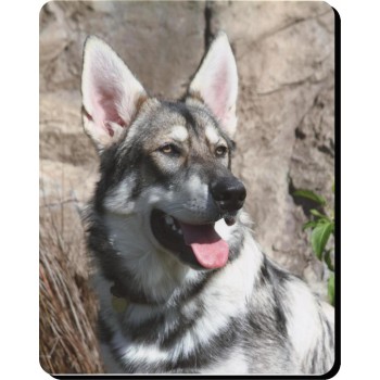 Komonder Dog Mousemat   156