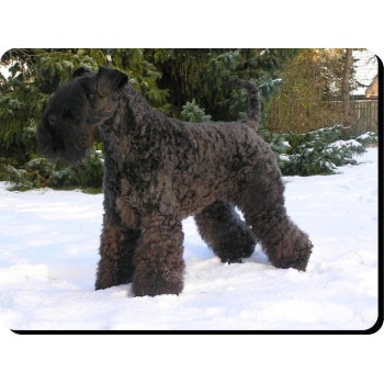 Labradoodle Dog Mousemat   157