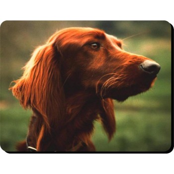 Labrador (Black) Dog Mousemat   158