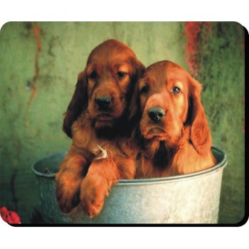 Labrador (Chocolate)  Dog Mousemat   159