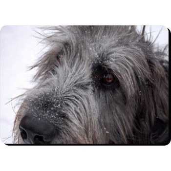 Lakeland Terrier Dog Mousemat   161