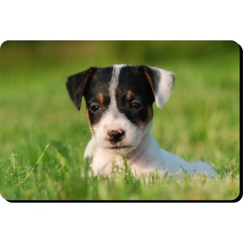 Lhasa Apso Dog Mousemat   163