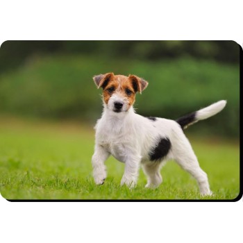 Lurcher (Hairy)  Dog Mousemat   164
