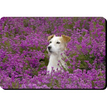 Lurcher (Smooth Hair)  Dog Mousemat   165