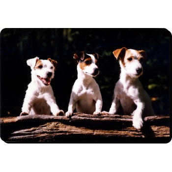 Miniature Bull terrier (WT) Dog Mousemat   171