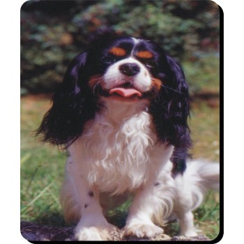 Munsterlander Dog Mousemat   173
