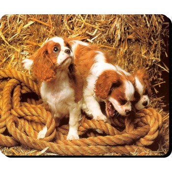 Newfoundland (Black) Dog Mousemat   175