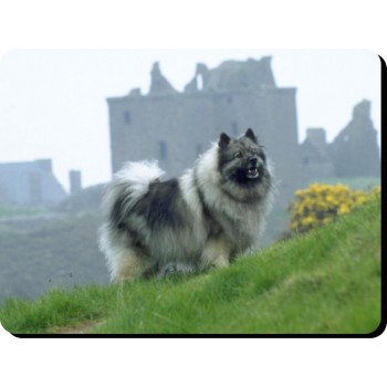 Newfoundland (Brown)  Dog Mousemat   176
