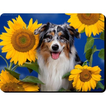 Australian Shepherd  Dog Mousemat   18